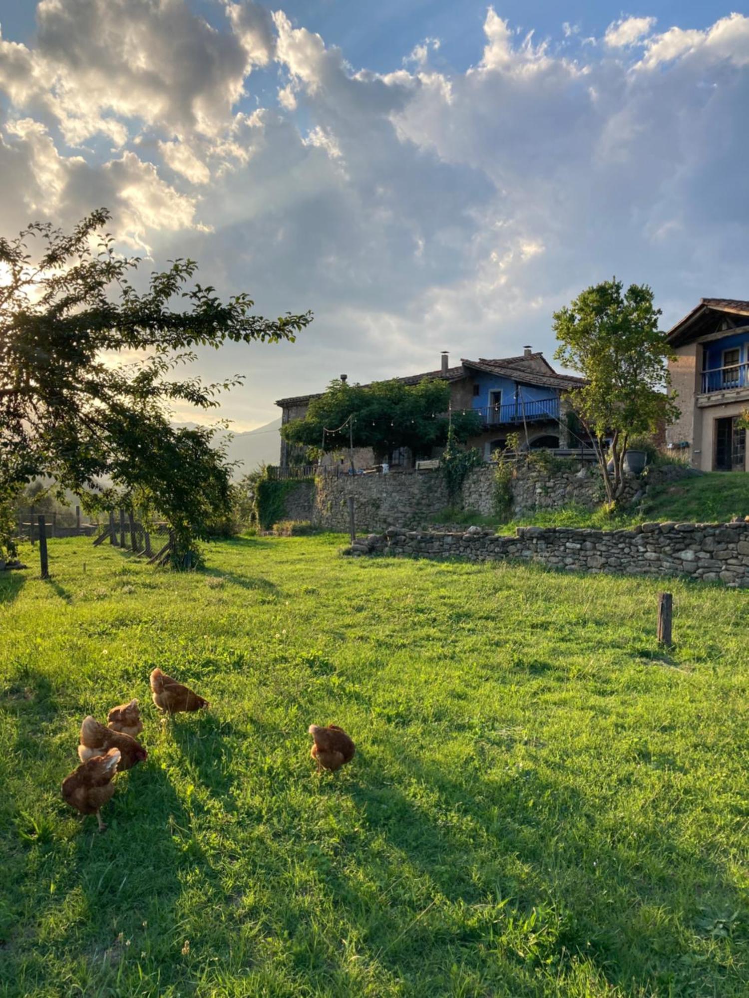 Casa Rural Mas Garganta La Pinya Екстер'єр фото